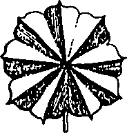 073/073470020007820_0.png