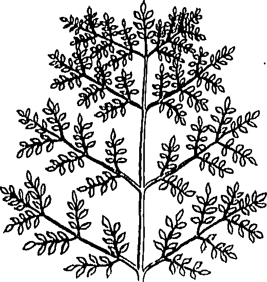 073/073470020007830_0.png