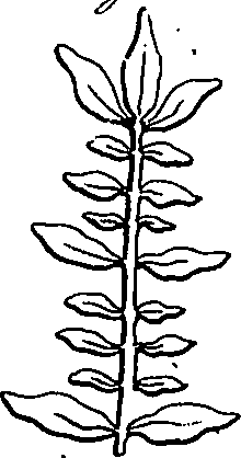 073/073470020007830_3.png