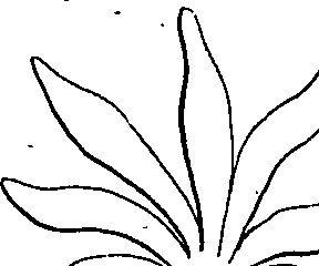 073/073470020007830_4.png