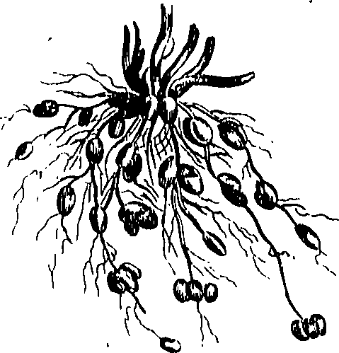 073/073470020007840_0.png