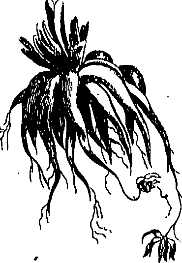073/073470020007840_1.png