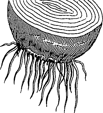 073/073470020007840_2.png