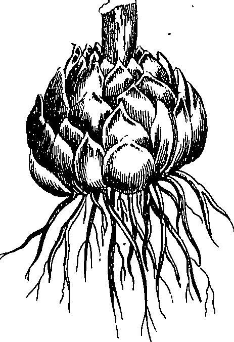 073/073470020007840_3.png