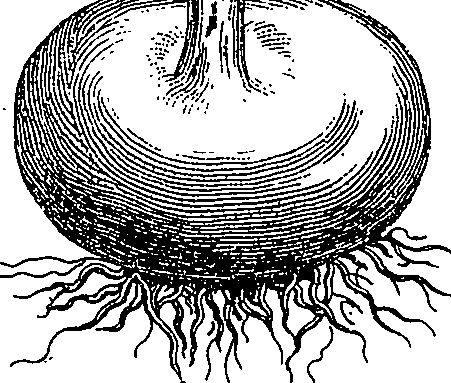 073/073470020007840_4.png