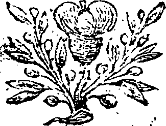 073/073510050000310_0.png