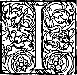 073/073670040000460_0.png