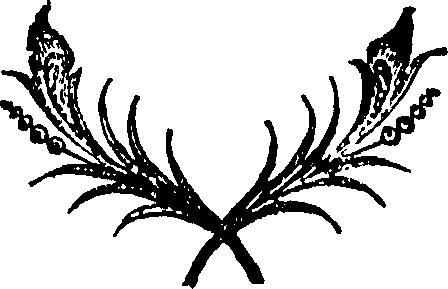 073/073680250000230_0.png