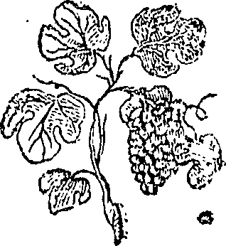 073/073690130000350_0.png