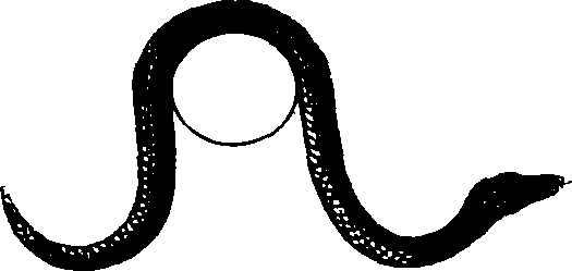 073/073760140006190_0.png