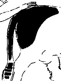 073/073760140006190_1.png