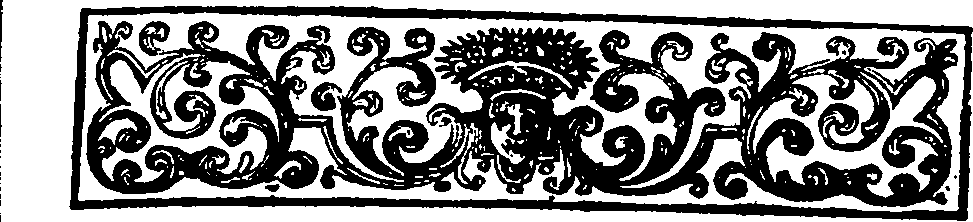 073/073790020000790_2.png
