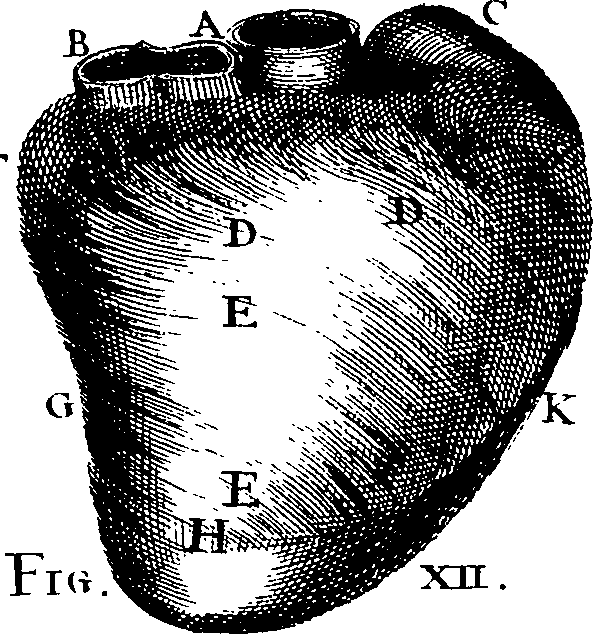 073/073790020003460_2.png