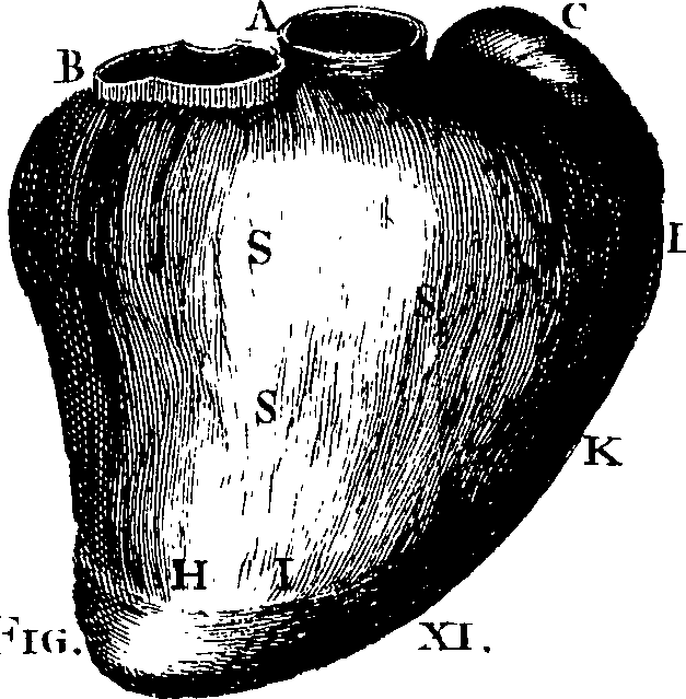 073/073790020003460_3.png