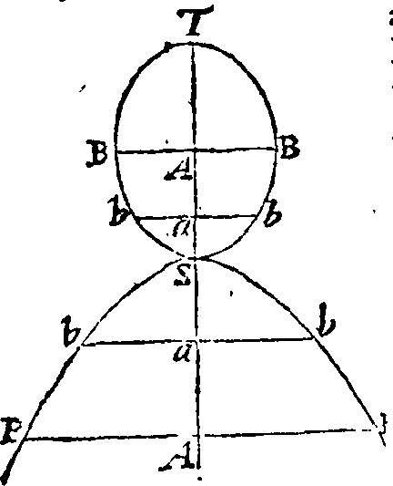 073/073810010003950_0.png