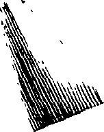 073/073810050100260_3.png