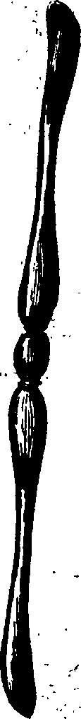 073/073810050204890_1.png