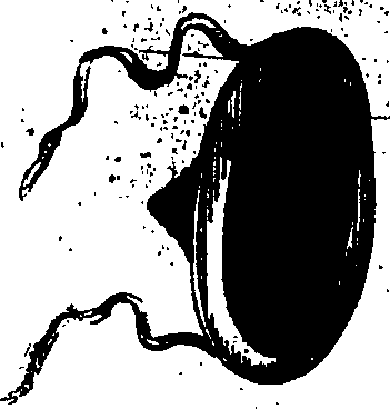 073/073810050204890_2.png