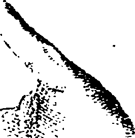 073/073820010304600_0.png