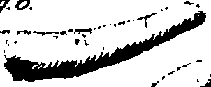 073/073820010307110_0.png