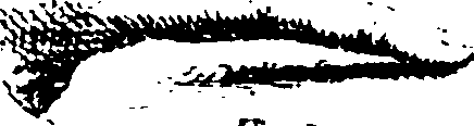 073/073820010307110_1.png