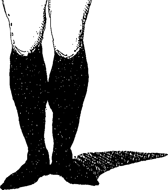 073/073830010001570_0.png
