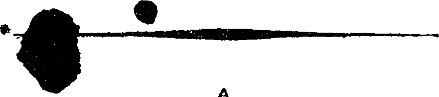 073/073880160000010_0.png