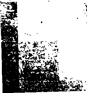 073/073900050000010_0.png