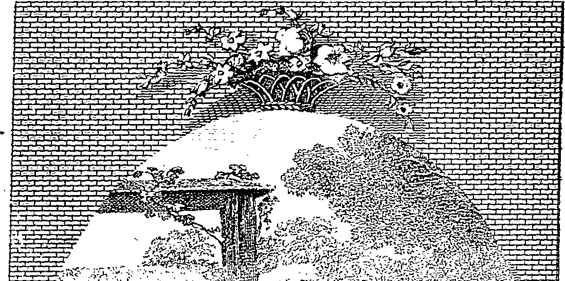 074/074130070102860_1.png