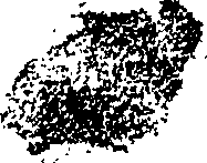 074/074140030000010_3.png