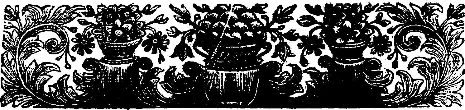 074/074150030000020_1.png