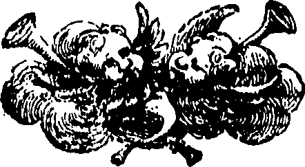 074/074170070001530_0.png