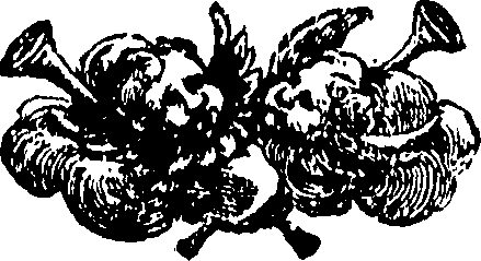074/074170070002060_0.png
