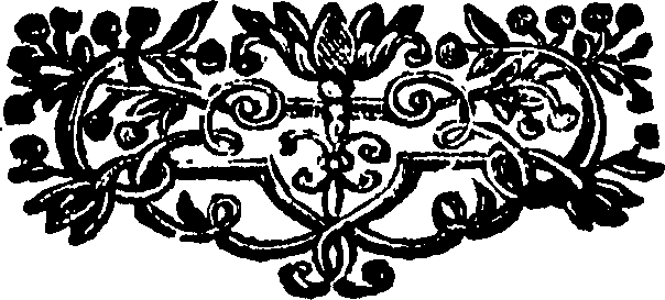 074/074180010204390_0.png
