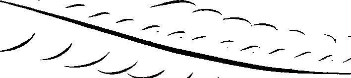 074/074200020000100_2.png