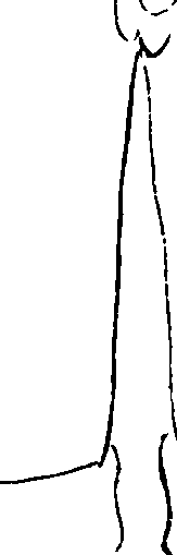 074/074360010000210_0.png