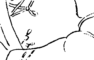 074/074360010000720_1.png