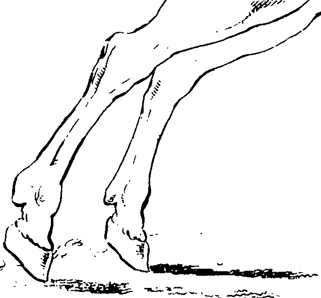 074/074360010000950_0.png