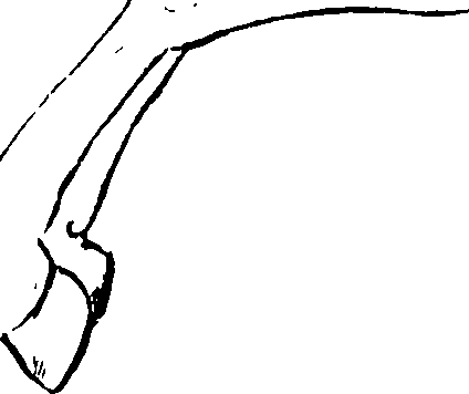 074/074360010001290_0.png