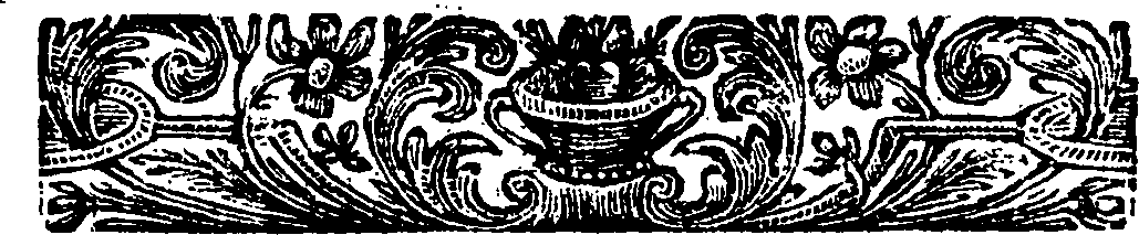 074/074520010000080_1.png