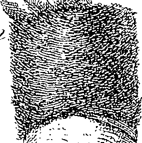 074/074640020000680_1.png