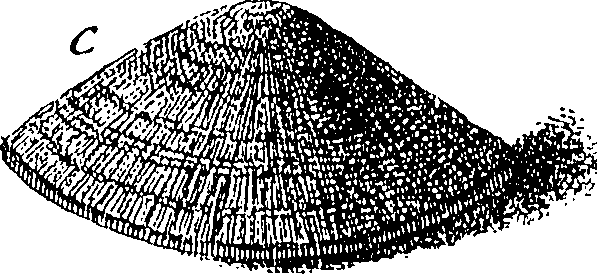 074/074640020001980_0.png