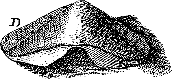 074/074640020001980_1.png