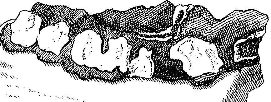 074/074640020004610_0.png