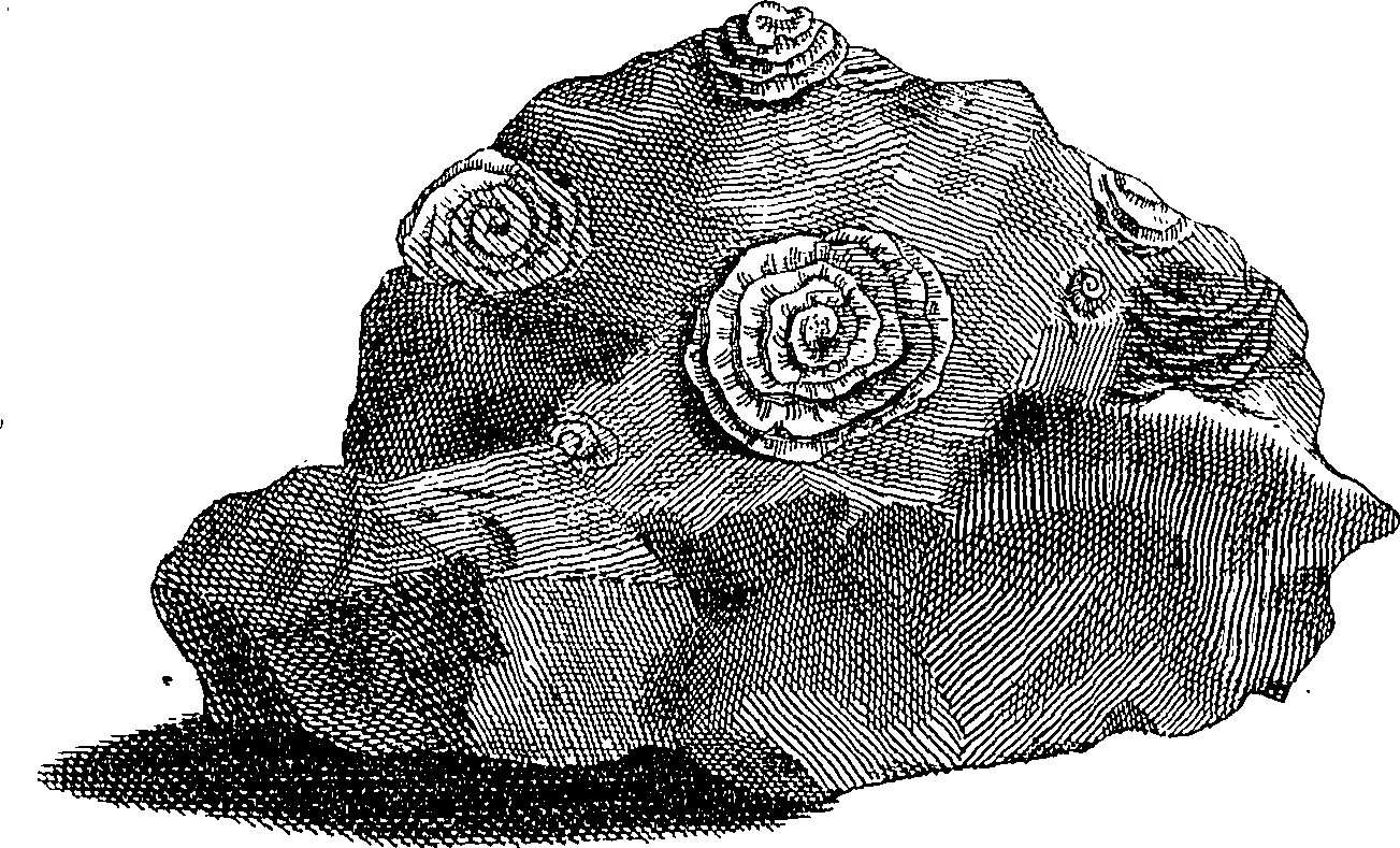 074/074640020004770_0.png