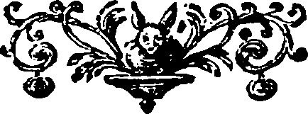 074/074810010203580_0.png