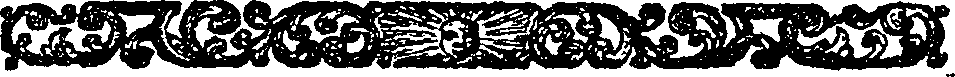 074/074820010800990_1.png