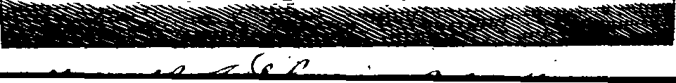 074/074870050000530_0.png
