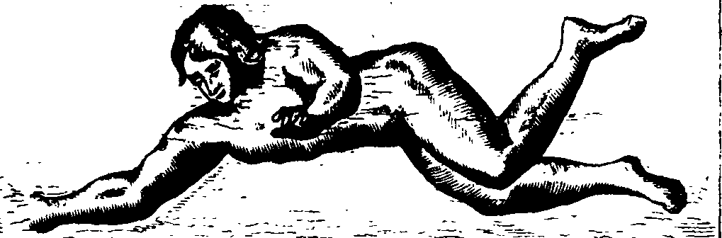 074/074870050000560_0.png