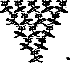 074/074890010000270_0.png